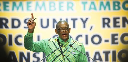In a web: ANC secretary general and former Free State premier Ace Magashule