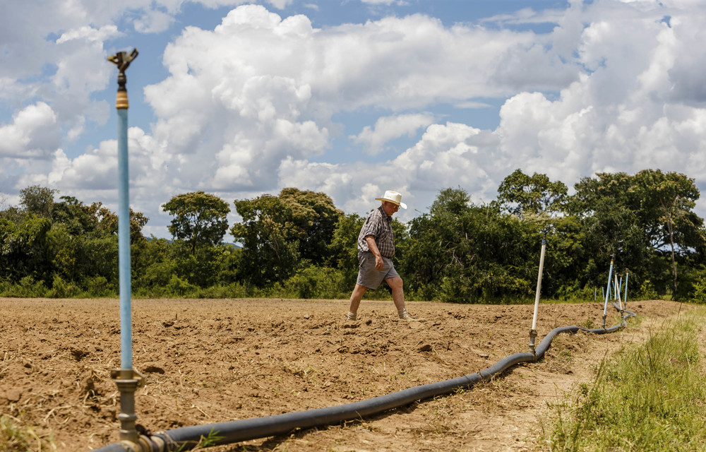 Zim to pay partial compensation to white ex-farmers