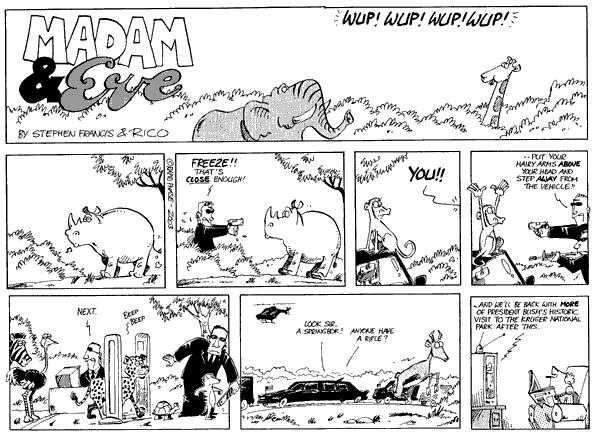 Madam and Eve: 394