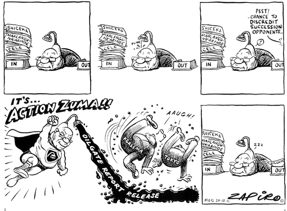 Zapiro: Oilgate report