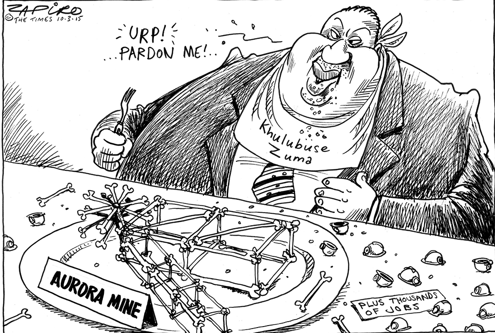 Zapiro: Khulubuse Zuma doesn’t just eat all on his plate
