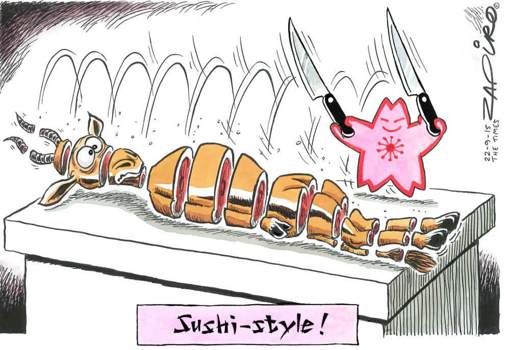 Zapiro: Japan: How to make mincemeat of the Boks