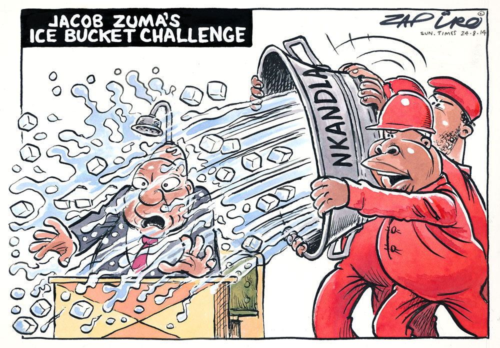 Zapiro: Nkandla: Zuma and the EFF