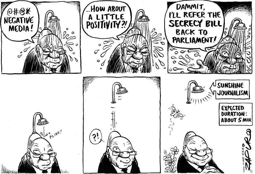 Zapiro: Zuma and sunshine news
