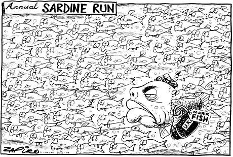 Zapiro: 772