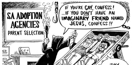 Zapiro: SA's adoption agencies