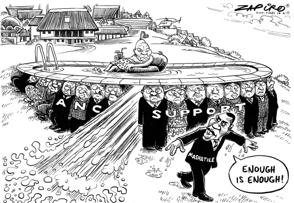 Zapiro: Time to leave the Nkandla pool party
