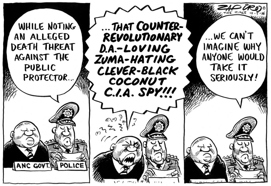 Zapiro: Why would ANYONE want to threaten Thuli Madonsela?