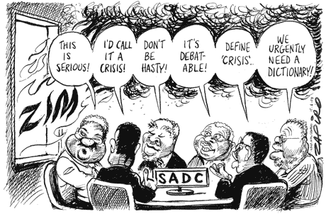 Zapiro: 79
