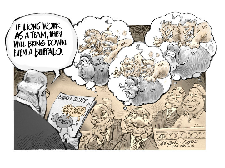 Zapiro: If buffaloes worked as a team…