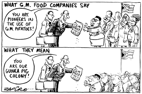 Zapiro: 782