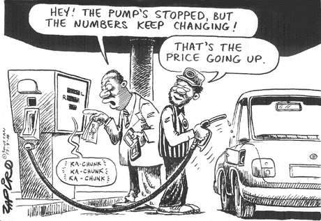 Zapiro: 1242