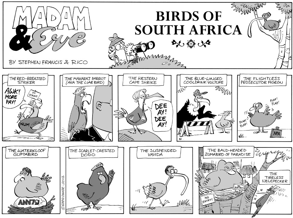 Madam and Eve: Birds of SA