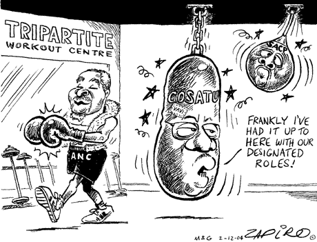 Zapiro: 797