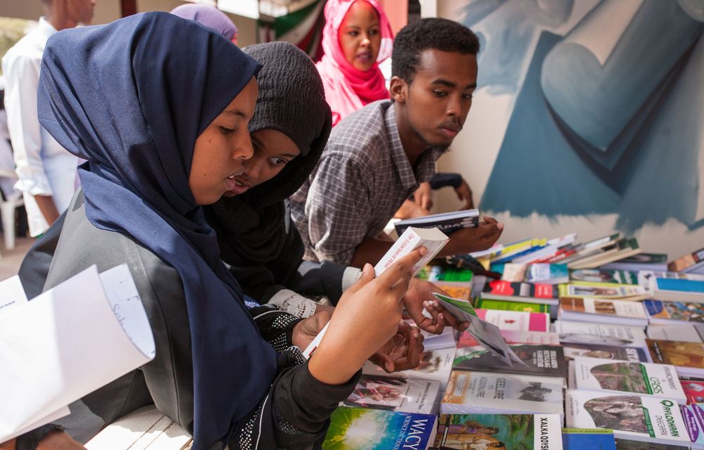 A literary snapshot of Somaliland