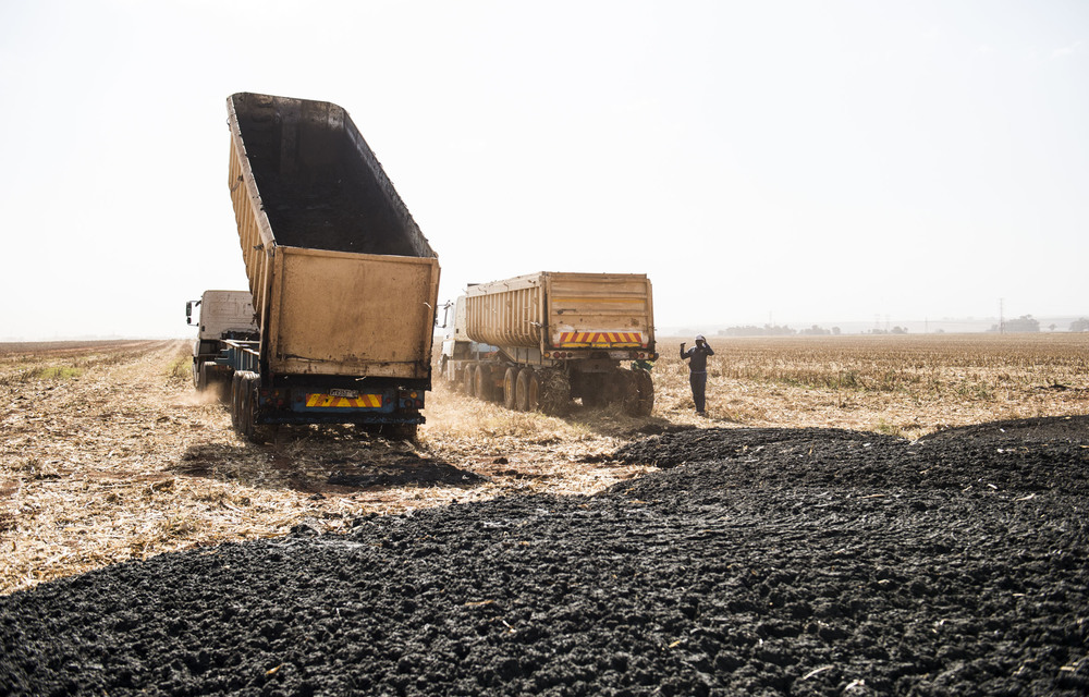 Waste of energy: Trucks carry untreated sewage sludge from Northern Water Waste Treatment Works to farms. If the sludge were used to produce electricity