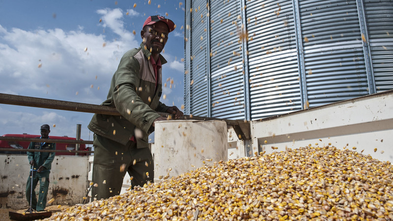 The Agricultural Research Council Promotes National Food Security