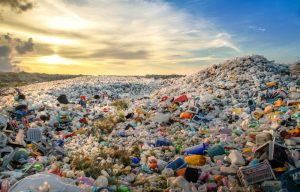 Plastic pollution a global health emergency, says Lancet report