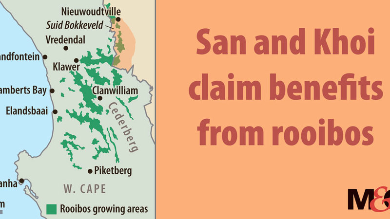 San and Khoi claim benefits from rooibos