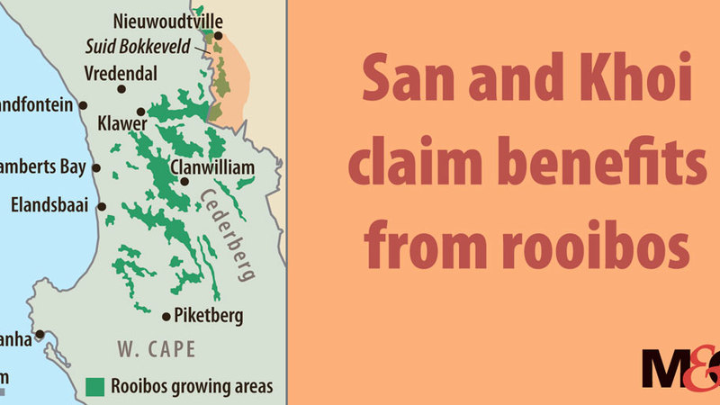 San and Khoi claim benefits from rooibos