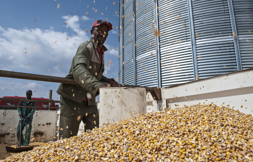 The Agricultural Research Council has for over 100 years helped the agricultural sector and supported government programmes to end poverty and malnutrition.