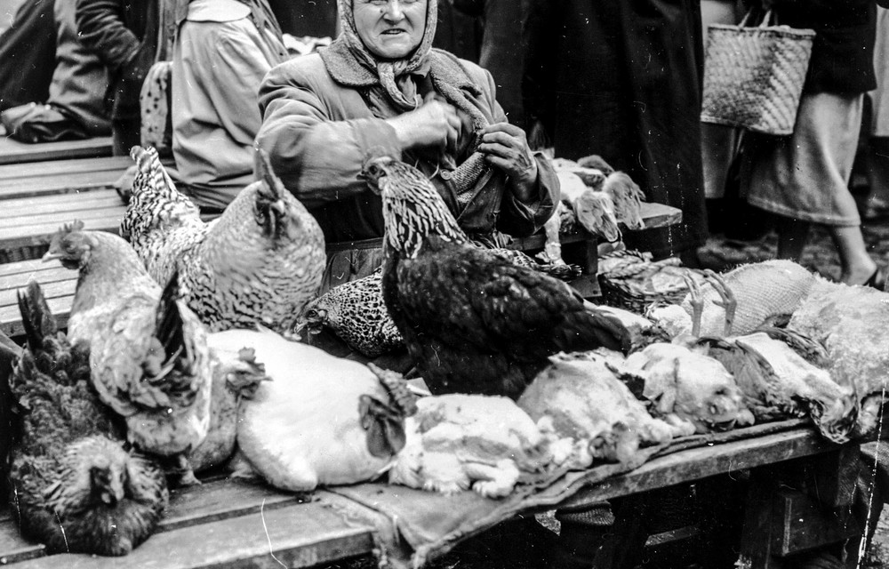 Small-scale farming: A woman sells live chickens at a Polish market place.