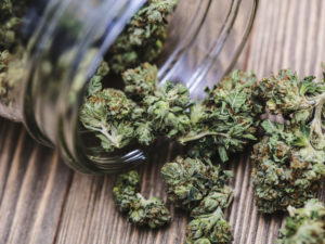 Cannabis reform without legal legitimacy is an illusion