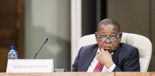 Minister Ndzimande 1251 Dv