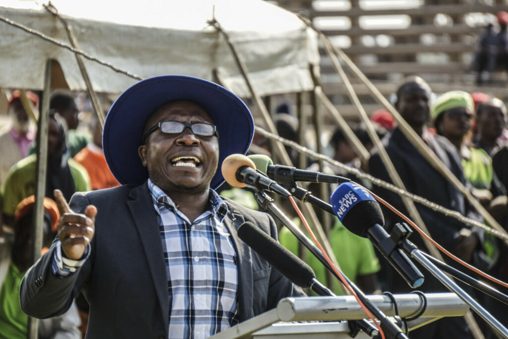 Zimbabwean protest leader Ngarivhume freed on bail