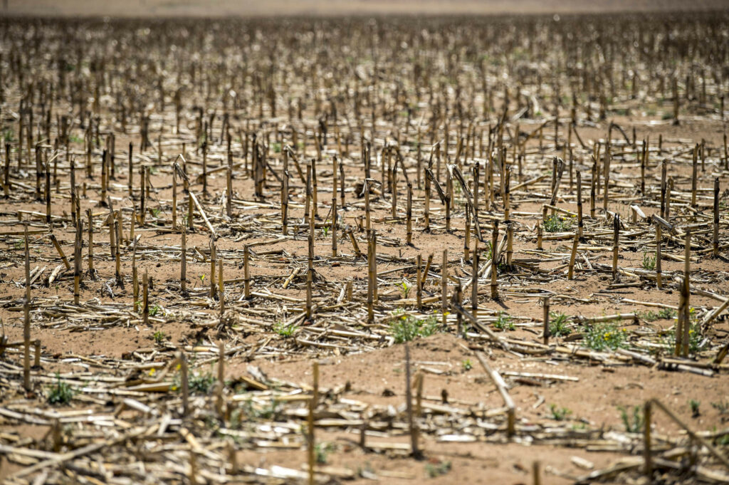 Ramaphosa reiterates support for emerging farmers