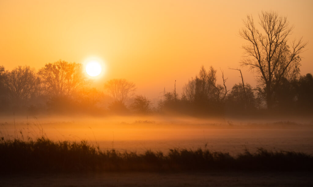 Sunrise In Lower Saxony