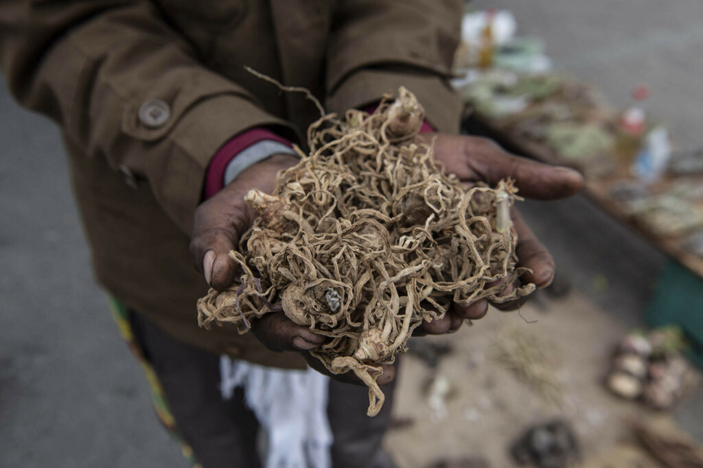 May 05 2021 Ronald Adams At His Herbal Medicine Stall In Kleinvlei Near Blackheath In Cape Town. Along With Four Others, Adams Was Arrested For Illegally Harvesting Wild Garlic On A Farm In Durbanville In August 2020 & Will Appear In The Belville Magist