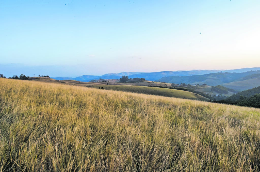 Land Arbitration Hearings In Kzn Photo Delwyn Verasamy