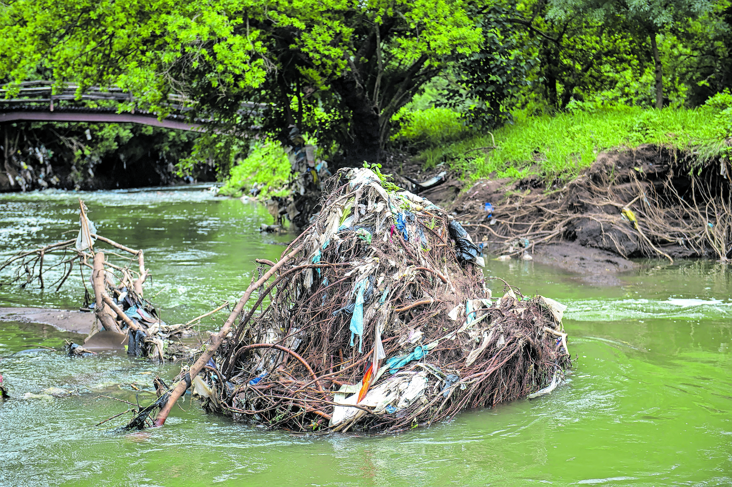 Hennops River Pollution 0257 Dv