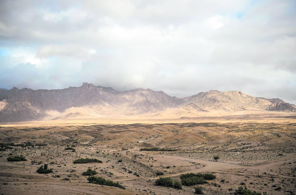 Race to save the Richtersveld from mass extinction