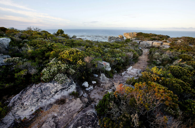 Cape Peninsula National Park, Cape Of Good Hope