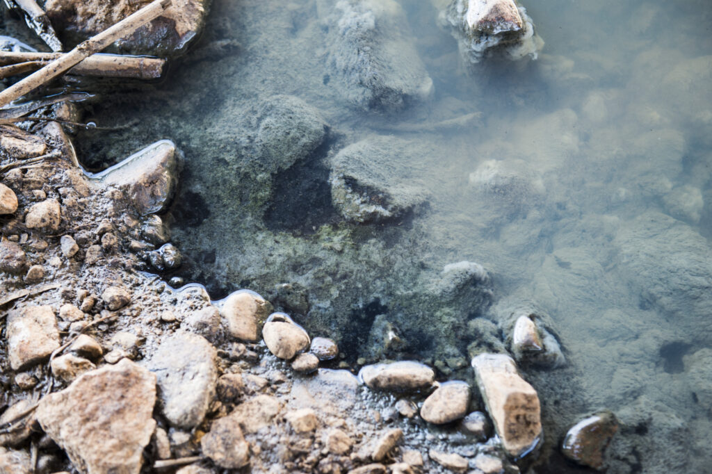 Jail municipal officials responsible for pollution, say water experts