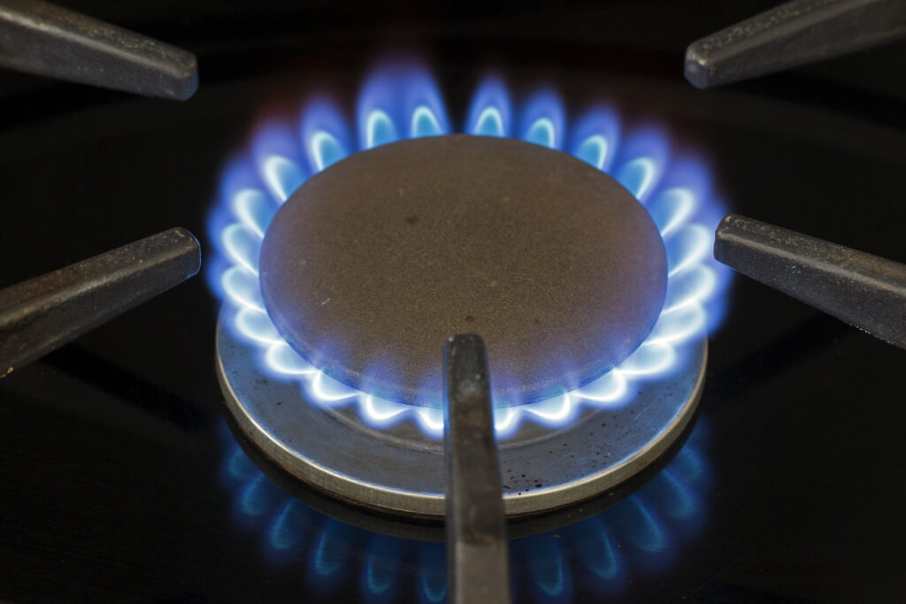 Blue natural gas flame on a domestic cooker gas hob.