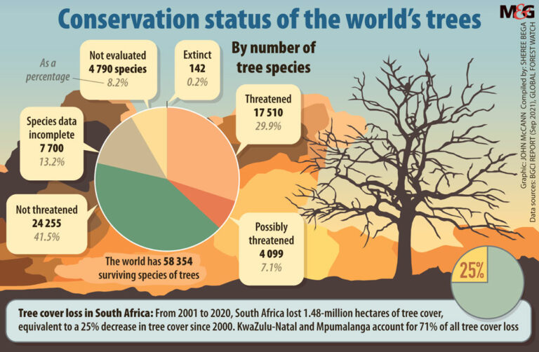 One in three trees in the world face extinction The Mail & Guardian