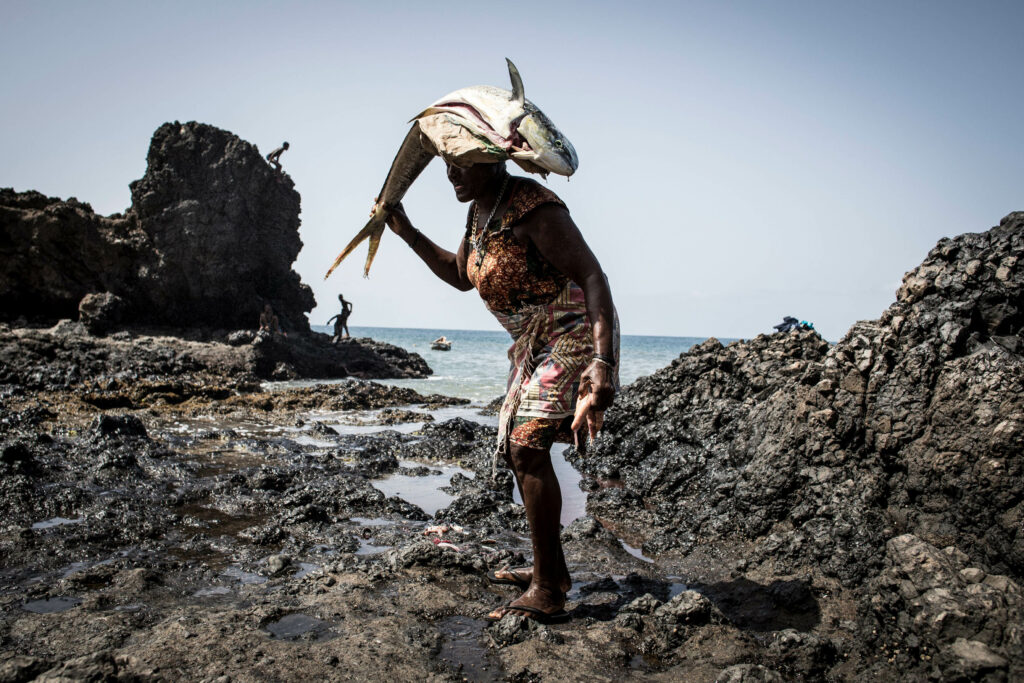 Africa’s big adaptation ask at COP26