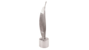 Nstf Trophy No Background