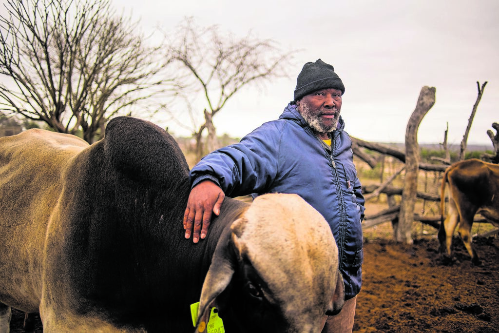 Conservation boosts cattle farmers