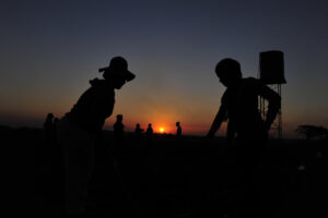 Youth Farming Project In Sa