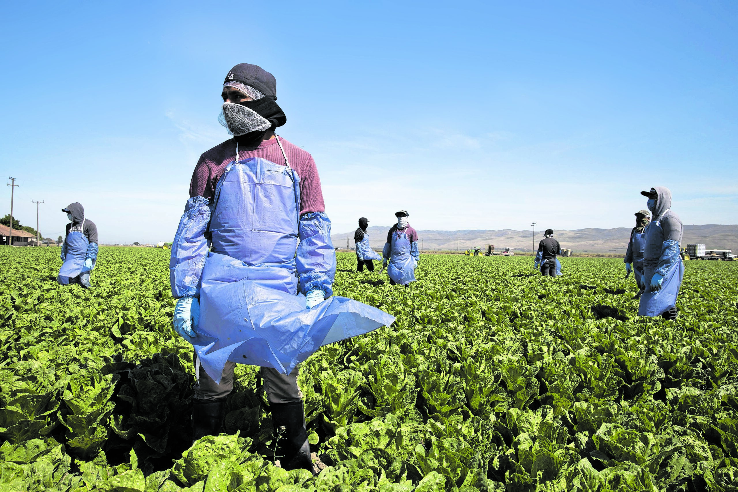 Soil and trials South Africans embroiled in US farm worker visa debate
