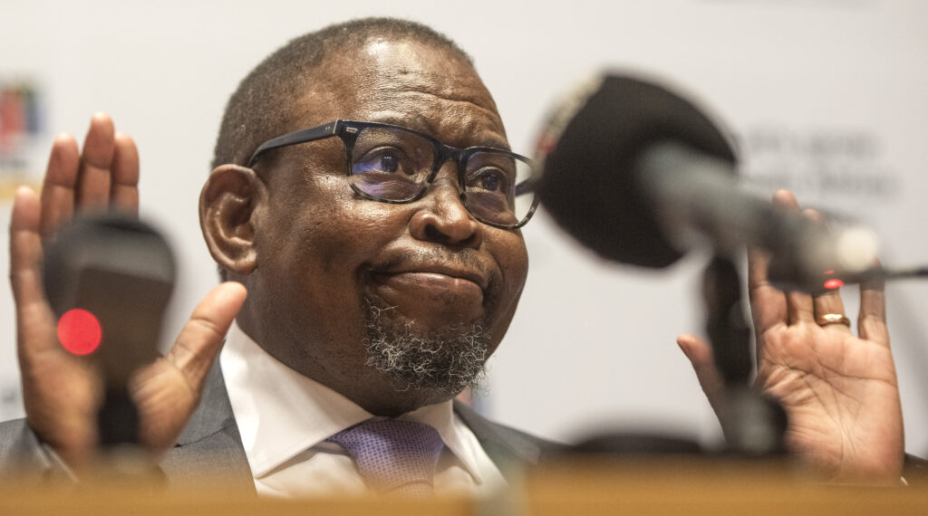 Treasury needs to be braver, but Godongwana’s neutral budget is a good start