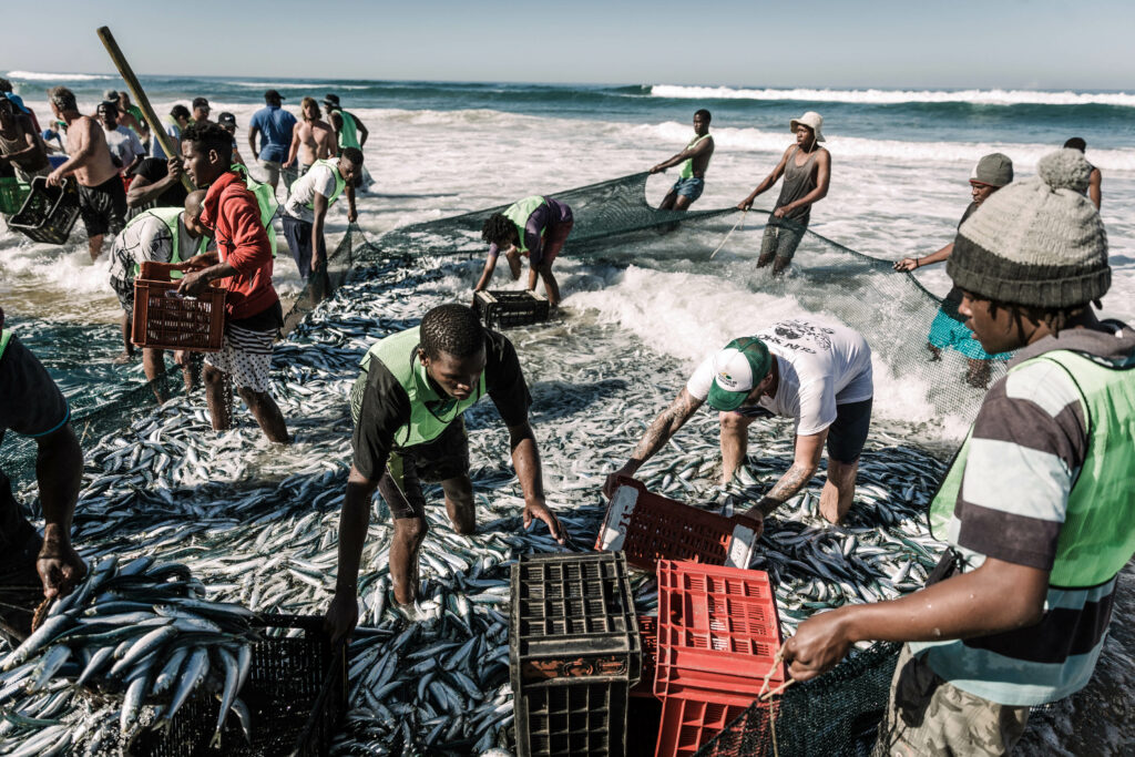 Safrica Fishery Environment