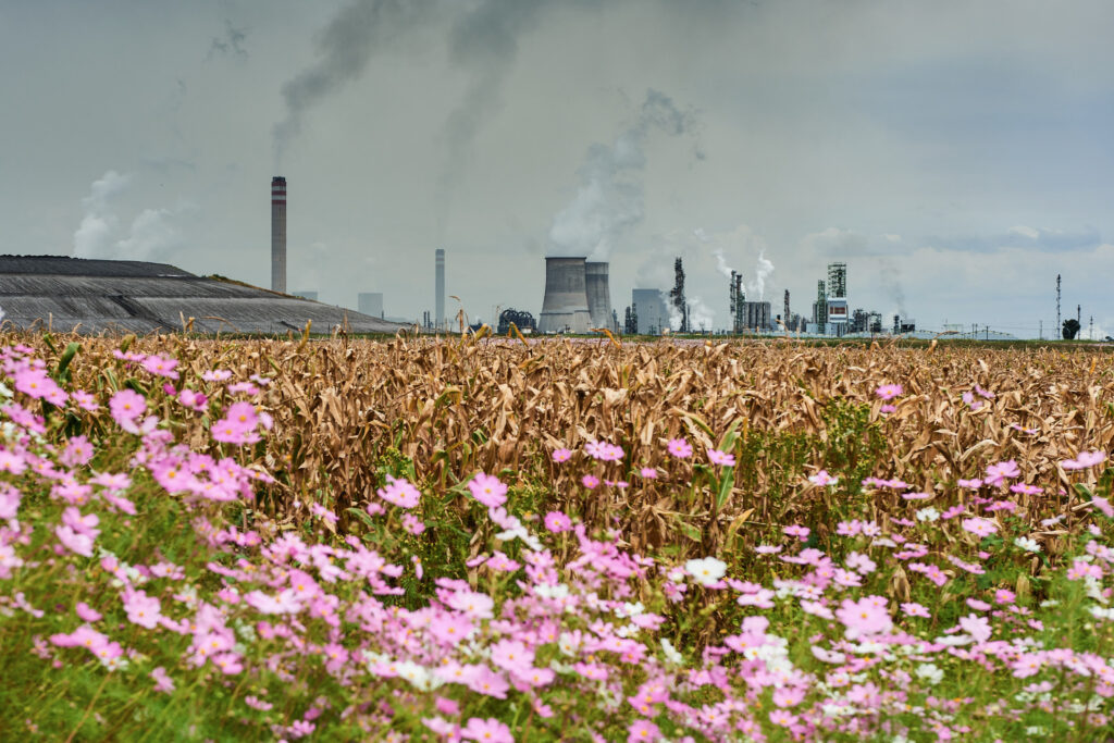 South African Power Plants Amid Pollution Clampdown