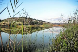 Klipspruit Acid Mine Drainage 4615