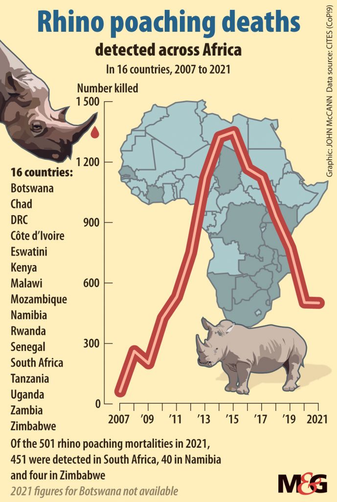 Rhino poaching and illegal horn trade declining in Africa and Asia