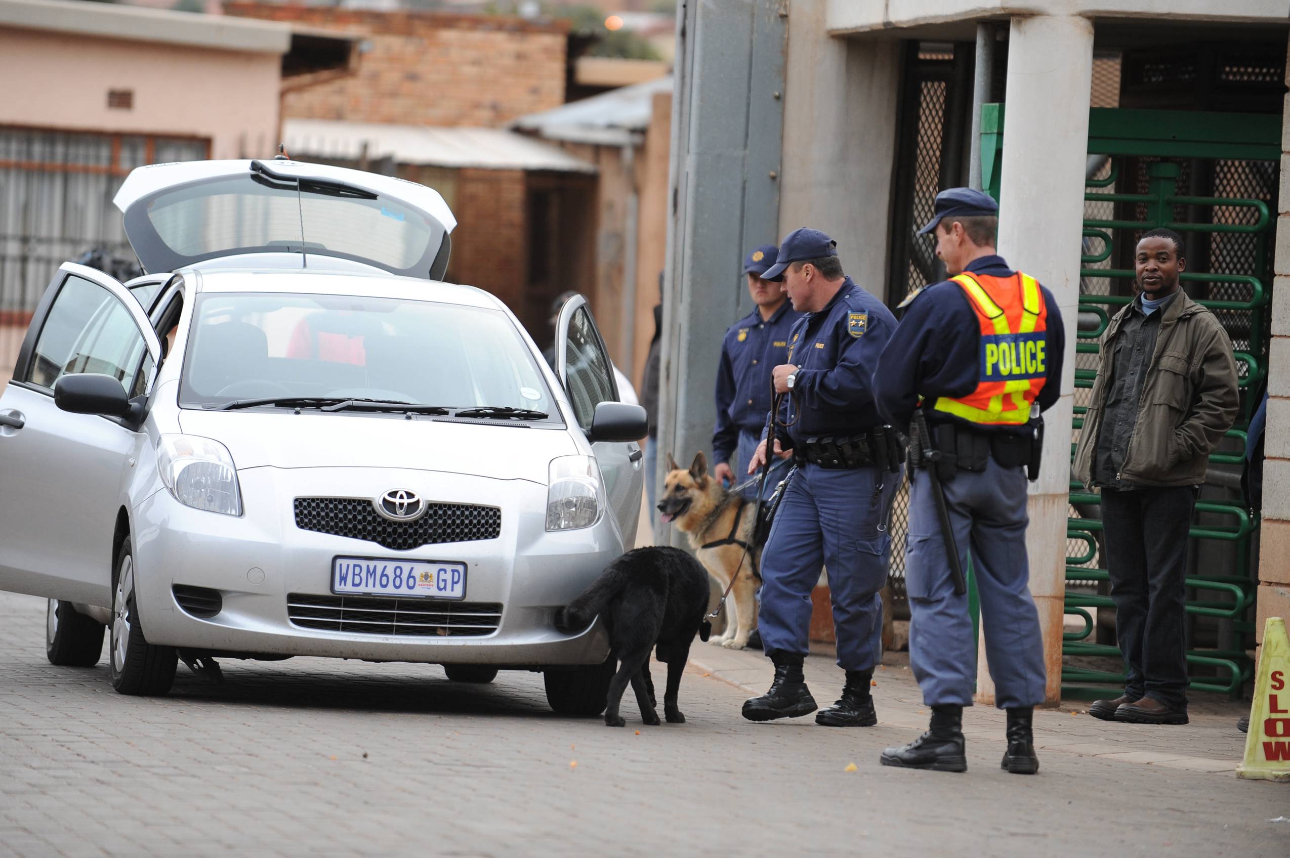 Expertly Trained Police Dogs In High Demand Locally And Abroad The 